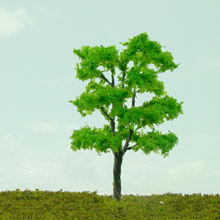 model trees